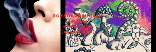 первитин Дмитров
