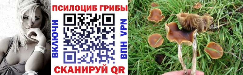 omg ONION  Донецк  Псилоцибиновые грибы MAGIC MUSHROOMS 